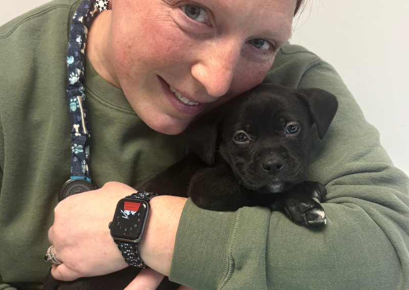 Carousel Slide 8: Discover our puppy and kitten care services>>