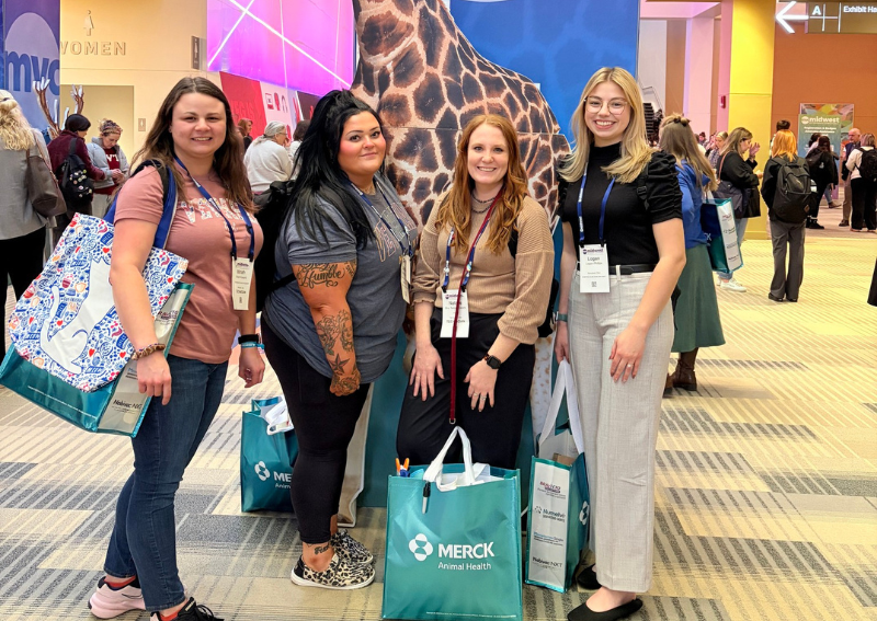 Carousel Slide 6: Explore our services>>