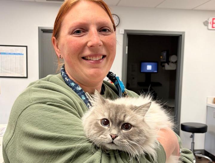 USDA Certified Veterinarian