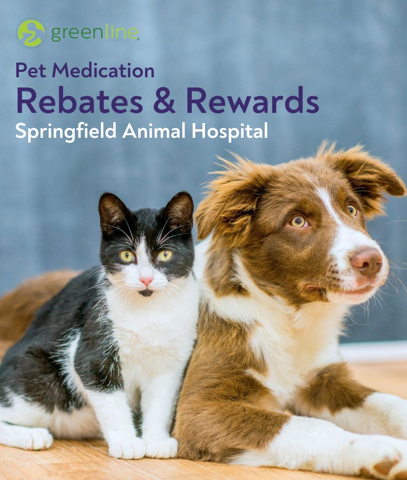 pet medication rebates at Springfield Animal Hospital